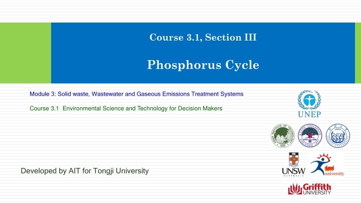 The Phosphorus Cycle in Environmental Science