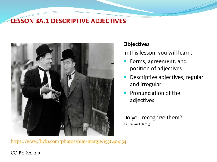 Learning Descriptive Adjectives: Forms, Agreement, and Position
