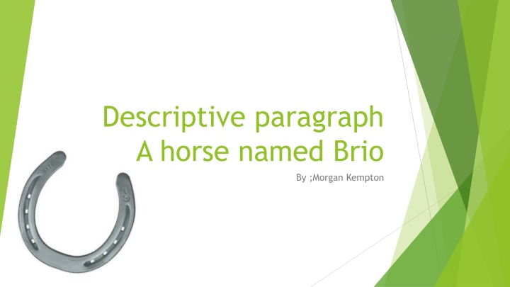 Memories of a Horse Named Brio