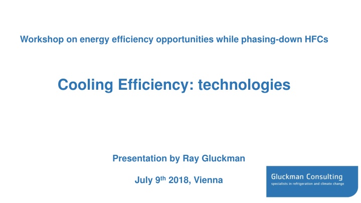 Workshop on Energy Efficiency Opportunities in Phasing Down HFCs: Cooling Efficiency Technologies Presentation