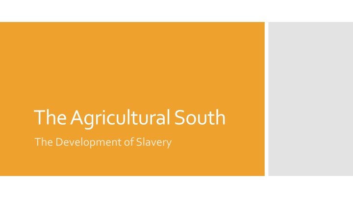 Development of Slavery and Cotton Economy in the Agricultural South