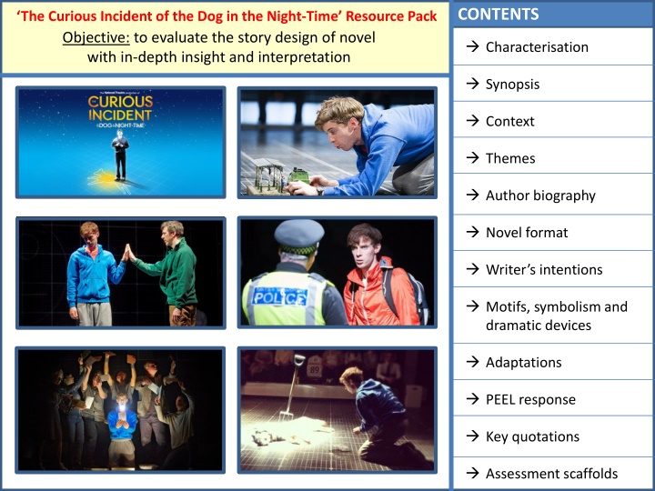 'The Curious Incident of the Dog in the Night-Time' Narrative Design