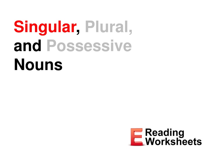 Singular, Plural, and Possessive Nouns