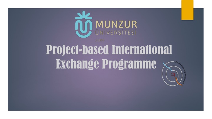 Project-Based International Exchange Programme Overview
