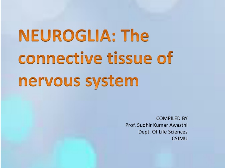 Neuroglia: The Connective Tissue of the Nervous System