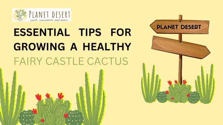 essential tips for growing a healthy fairy castle n.w