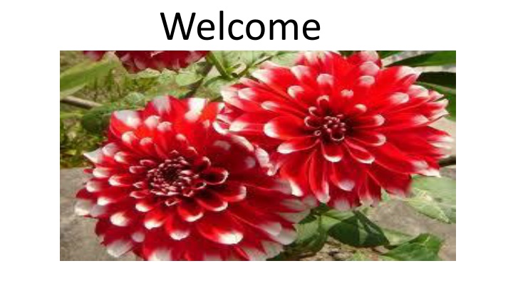 Celebrate Pohela Boishakh: A Lesson for Class Nine Students