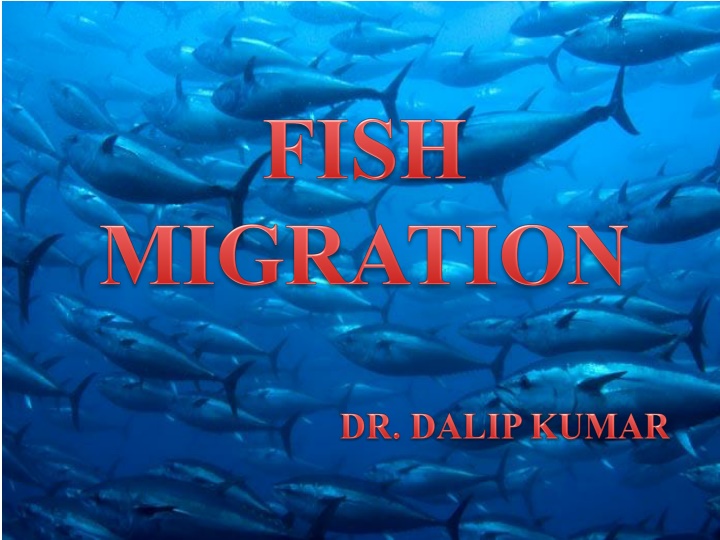 Fish Migration Patterns and Behaviors