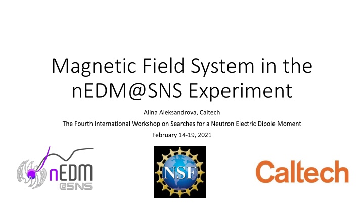Magnetic Field System in the nEDM@SNS Experiment