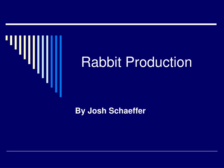 Rabbit Production Guide by Josh Schaeffer