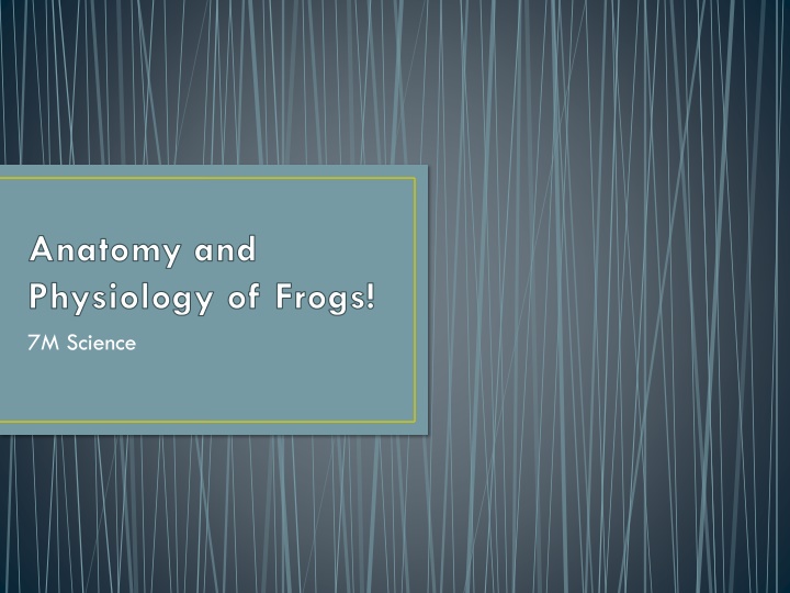A Comparison of Human and Frog Anatomy and Physiology