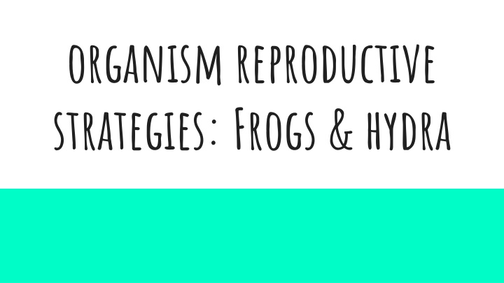 Reproductive Strategies in Frogs and Hydra: A Comparative Analysis