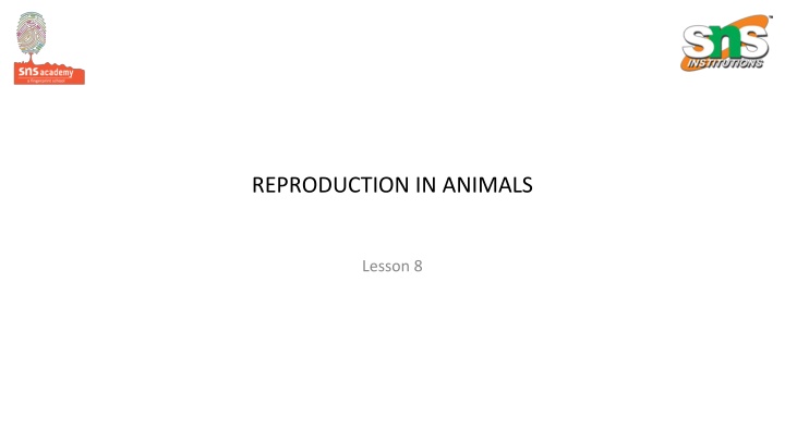 Animal Reproduction: Key Concepts and Life Cycles