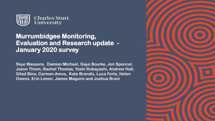 Murrumbidgee Monitoring and Research Update - January 2020