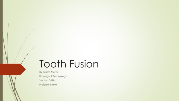 Tooth Fusion in Dentistry
