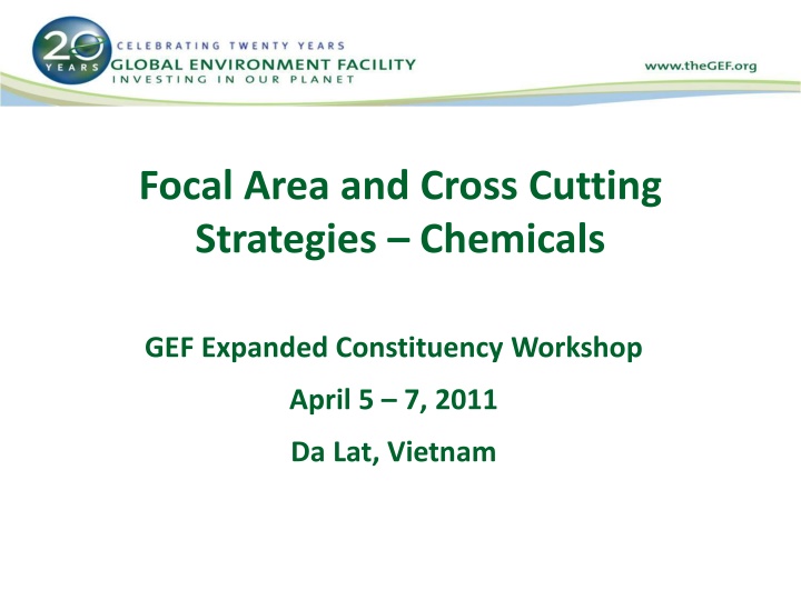 GEF Chemicals Management Overview & Strategies