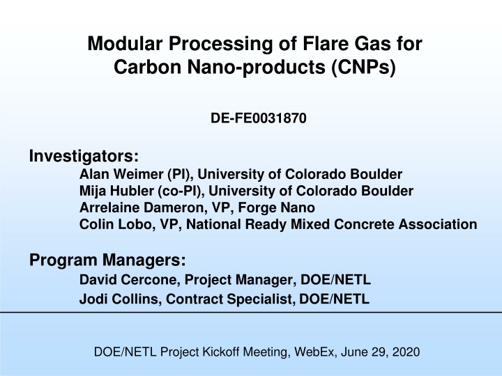 Sustainable Conversion of Flare Gas into High-Value Carbon Nano-products