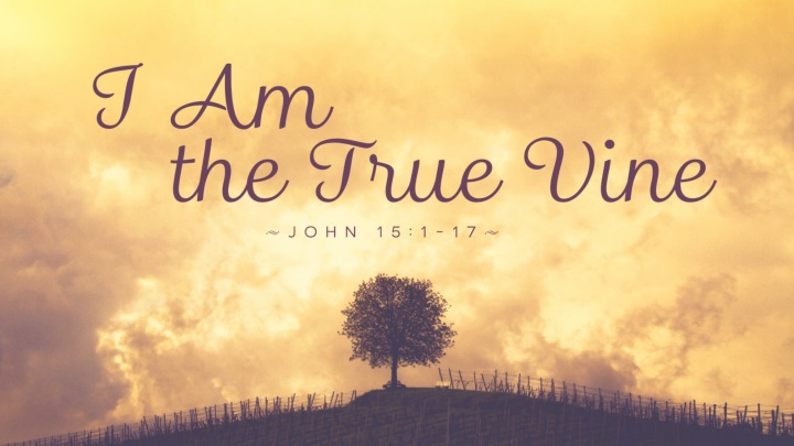The True Vine: Insights from John 15