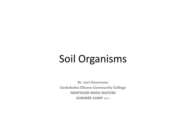 Unveiling the Vital Role of Soil Organisms in Environmental Ecosystems