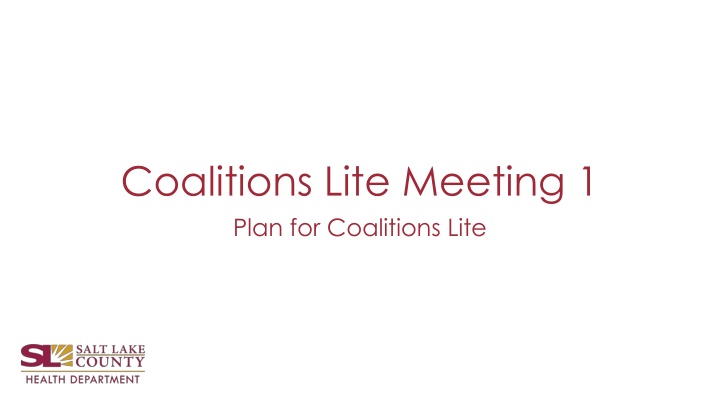 Coalition Lite Meeting 1: Strategic Planning for Success