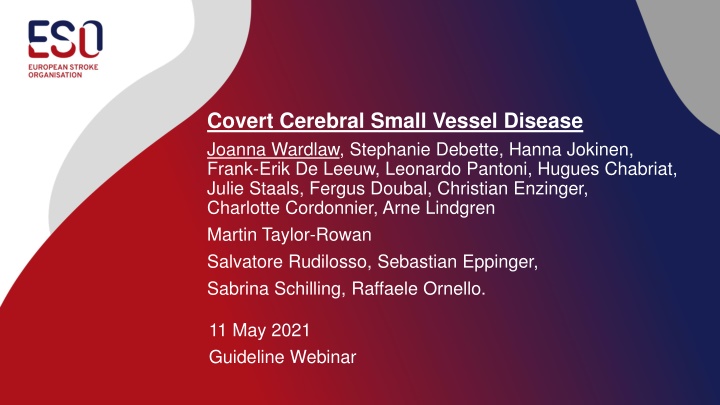 Expert Guidelines on Treatment of Small Vessel Disease