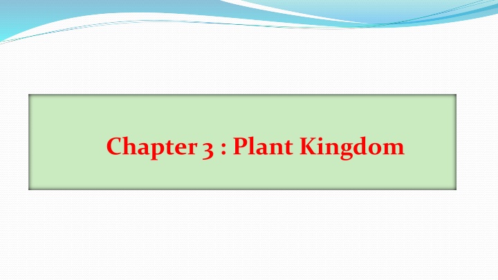Plant Kingdom Diversity and Characteristics