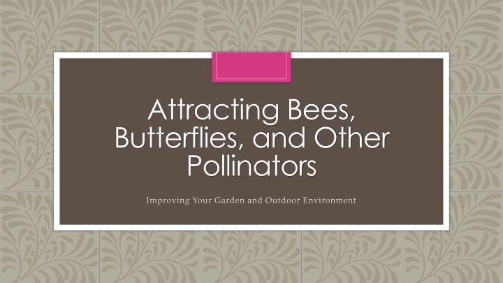 Enhancing Your Garden for Bees, Butterflies, and Pollinators