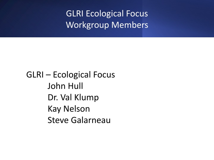 GLRI Ecological Focus Workgroup and Related Charge Questions