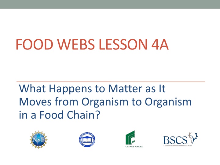 Matter Transfer in Food Chains