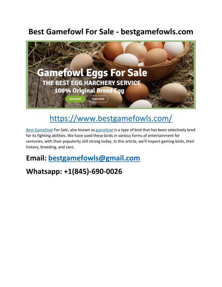 best gamefowl for sale bestgamefowls com n.w