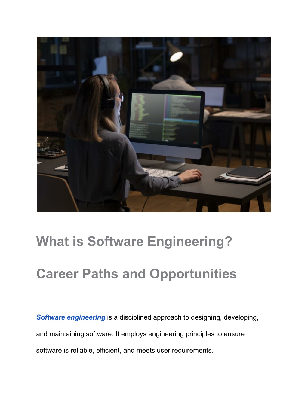 what is software engineering l.w