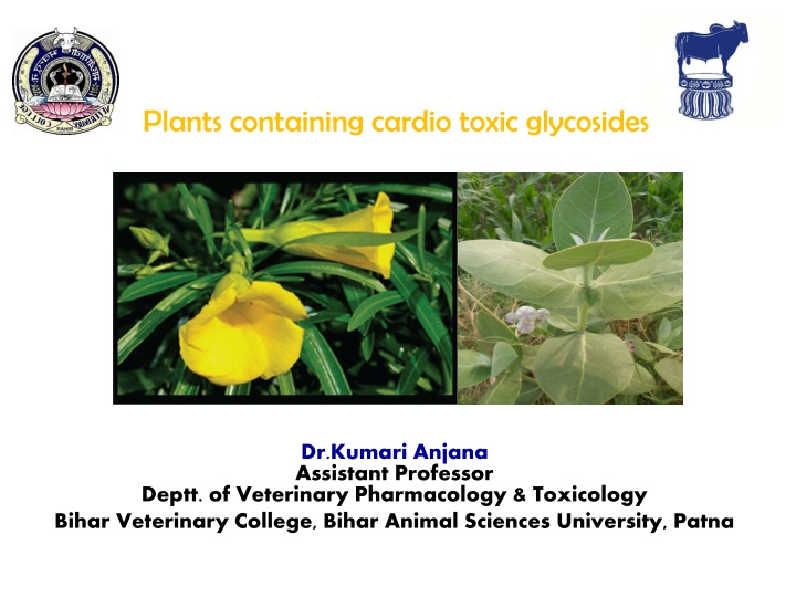 Cardiotoxic Glycosides in Plants: Toxicity and Mechanism of Action - Overview