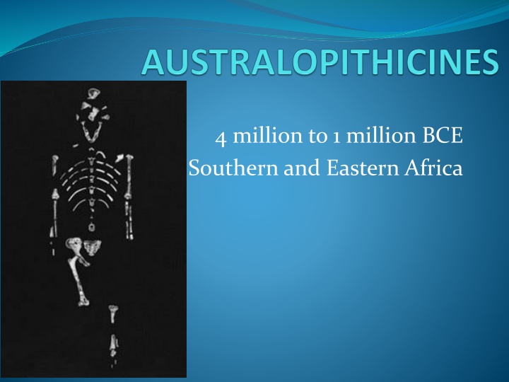 Evolution of Early Humans in Africa: A Journey Through Time