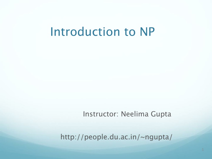 NP Problems and Decision Algorithms