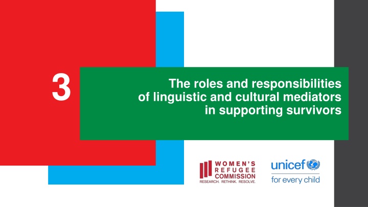 The Roles of Linguistic and Cultural Mediators in Support Settings