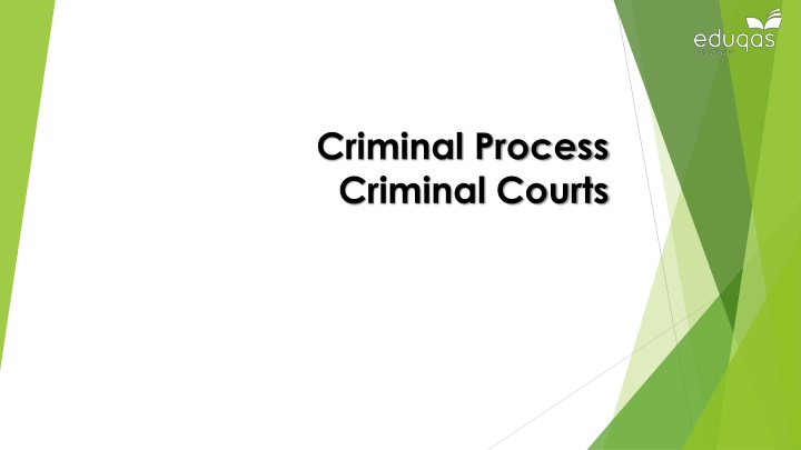 Overview of the Criminal Justice System