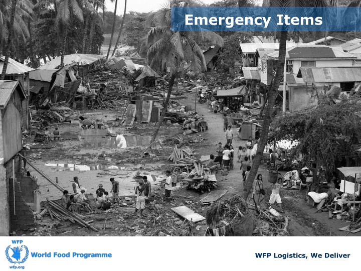 Emergency Items Management in Humanitarian Logistics
