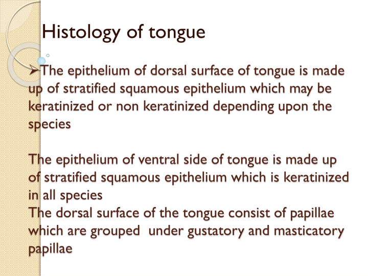 Histology of the Tongue: Structure and Function Overview