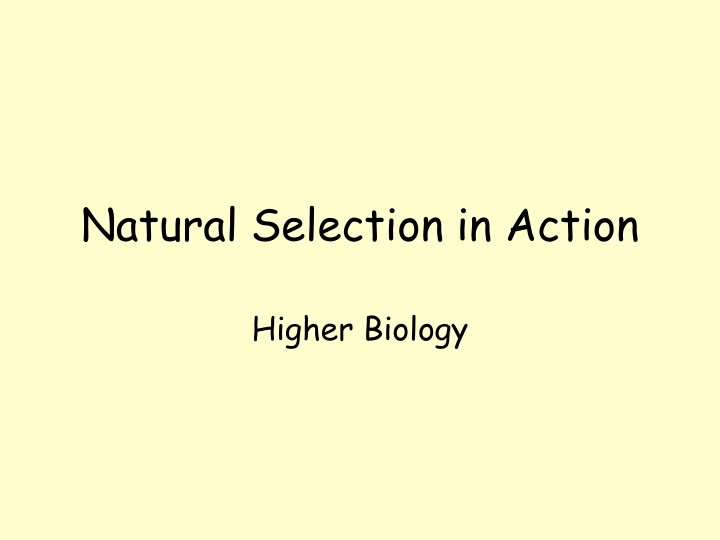 Natural Selection in Higher Biology