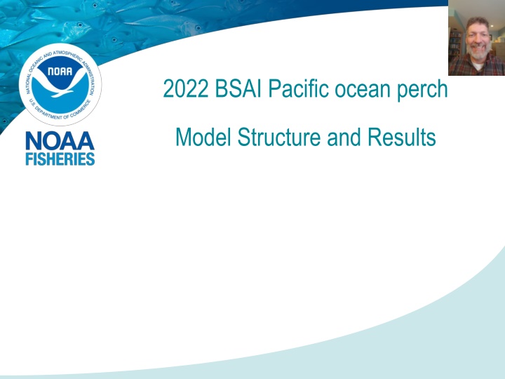 Overview of BSAI Pacific Ocean Perch Model Structure and Recent Developments