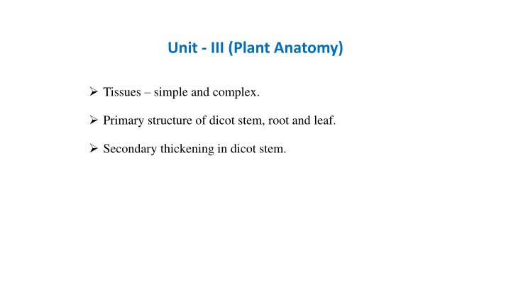 Plant Anatomy: Understanding Tissues and Growth in Plants