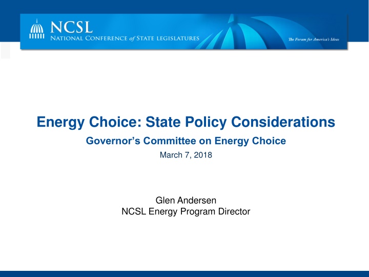 Energy Choice in Illinois and Texas: Policy Considerations and Market Dynamics