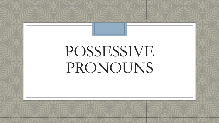 Possessive Pronouns and Their Usage