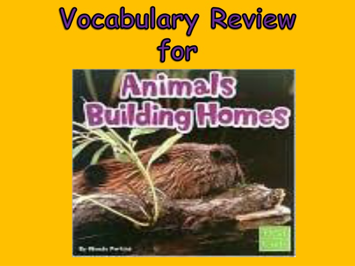 Fun Vocabulary Exercise for Kids - Identify the Missing Word!