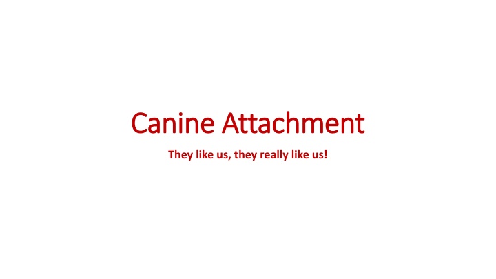 Canine Attachment and Cross-Species Relationships