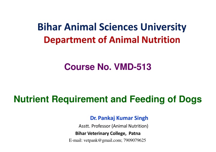 Nutrient Requirements and Feeding of Dogs - Key Insights