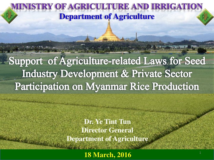 Challenges and Opportunities in Myanmar Rice Production Industry