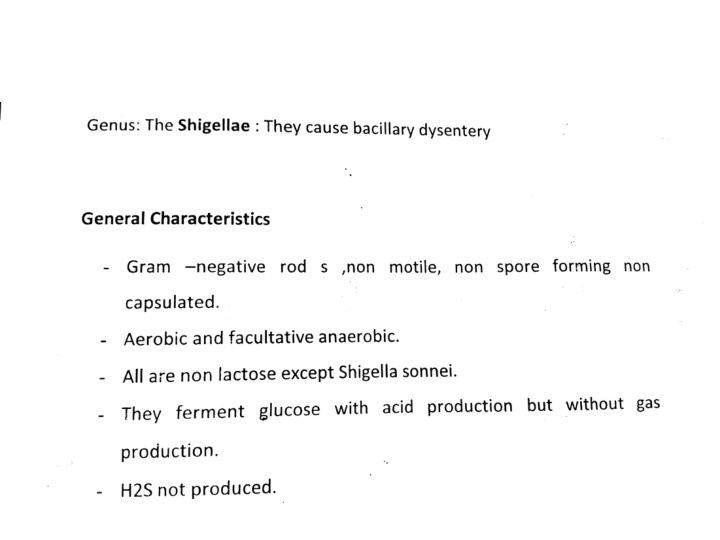 Shigella: Characteristics, Tests, and Diseases