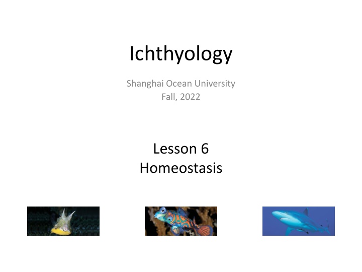 Insights into Fish Physiology and Thermal Regulation
