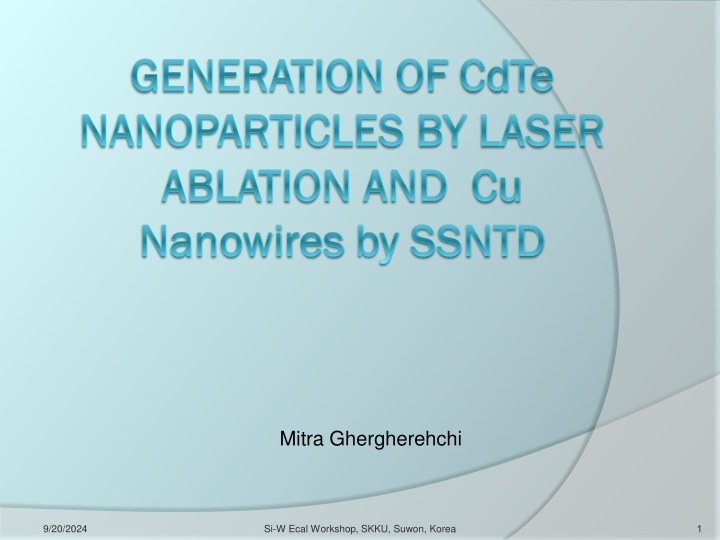 Laser Ablation for Generation of Nanoparticles and Nanowires: Workshop Insights